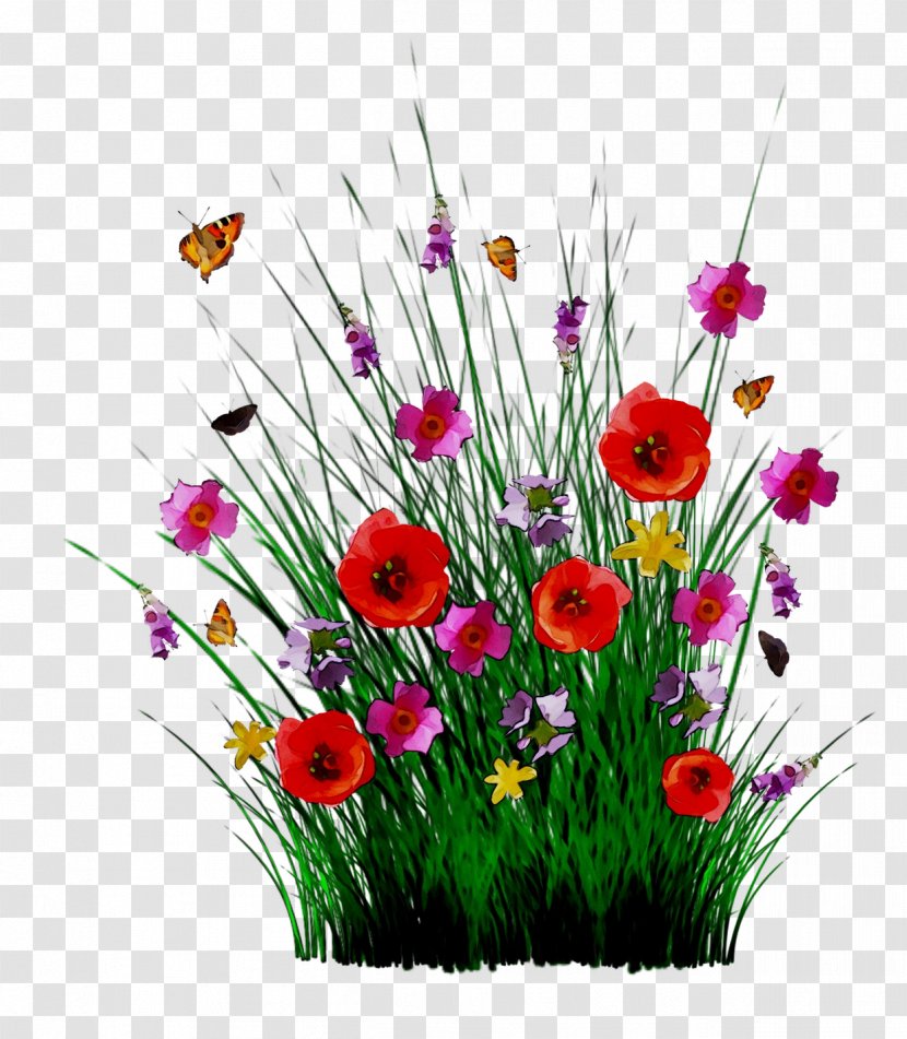 Floral Design Cut Flowers Transvaal Daisy Flower Bouquet - Family M Invest Doo - Artificial Transparent PNG