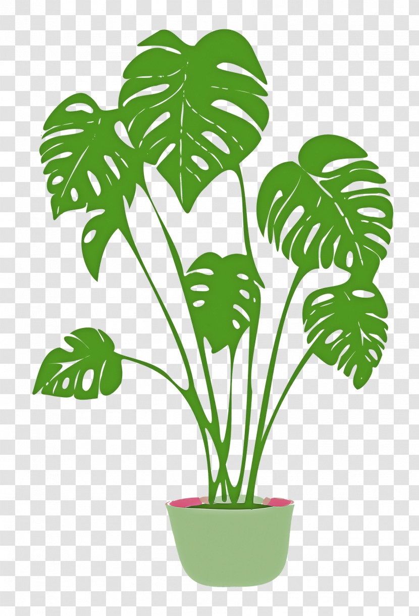 Plant Transparent PNG