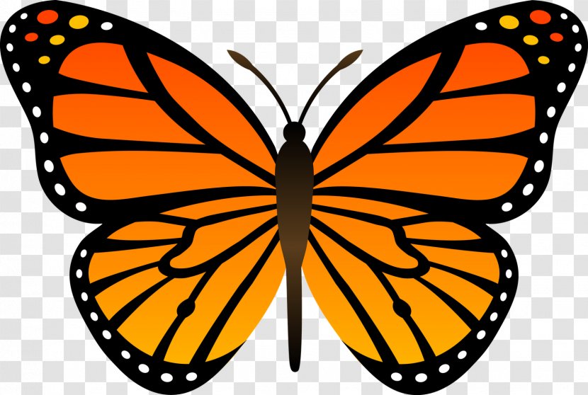 Monarch Butterfly Drawing Insect Clip Art - Brush Footed - Sale Sticker Transparent PNG