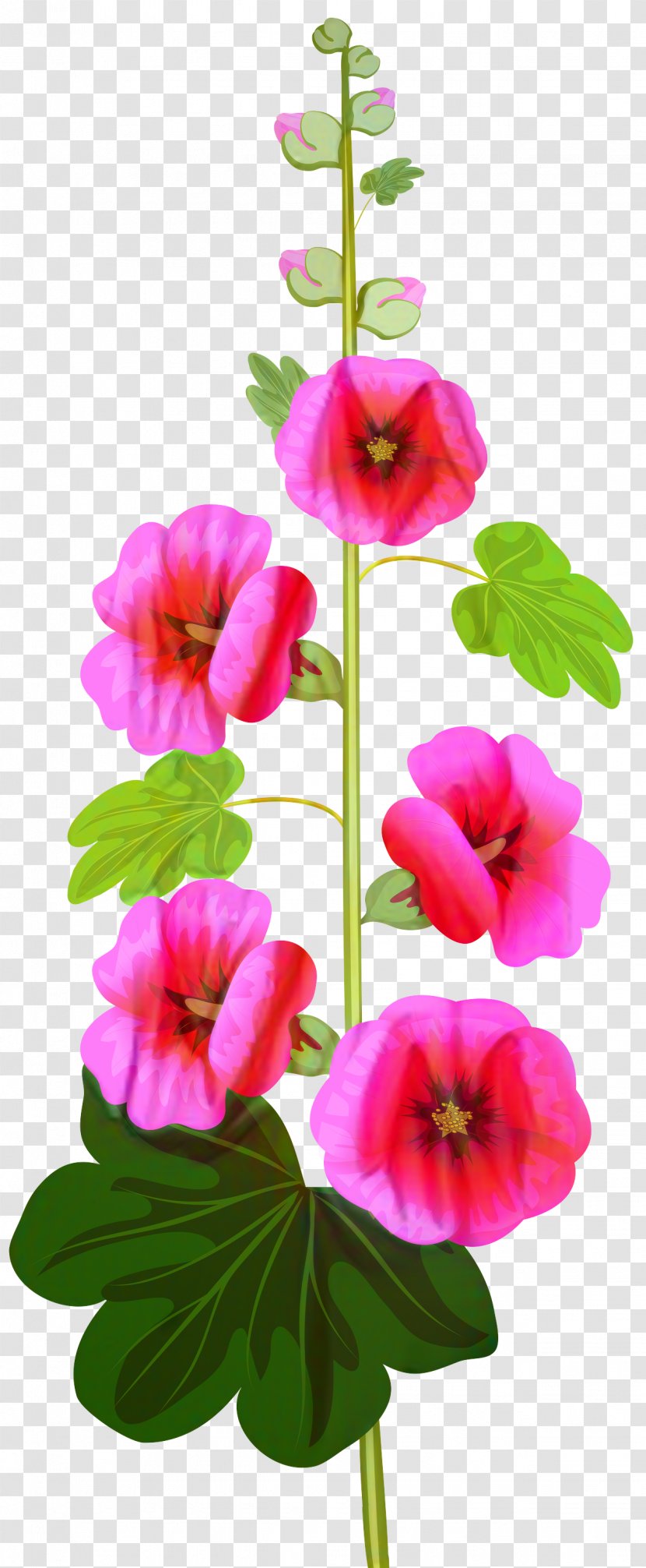 Watercolor Floral Background - Drawing - Geranium Annual Plant Transparent PNG