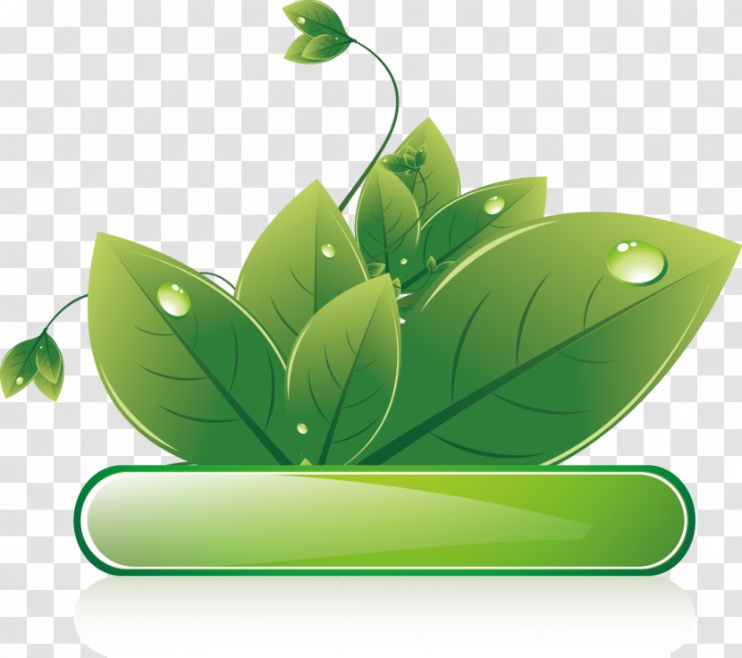 Ecodesign Euclidean Vector - Coreldraw - Green Leaves Textbox Transparent PNG
