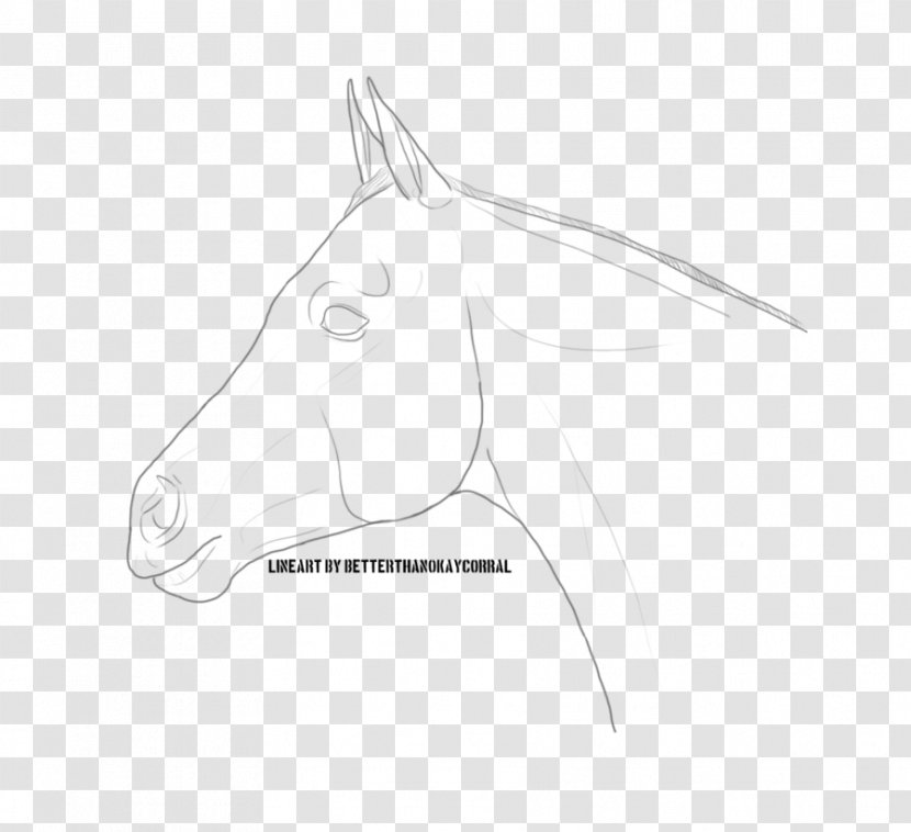 Mane Mustang Pack Animal Line Art Sketch - Monochrome - Warmblood Transparent PNG