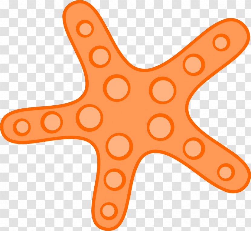 Starfish Sea Clip Art - Pattern Transparent PNG