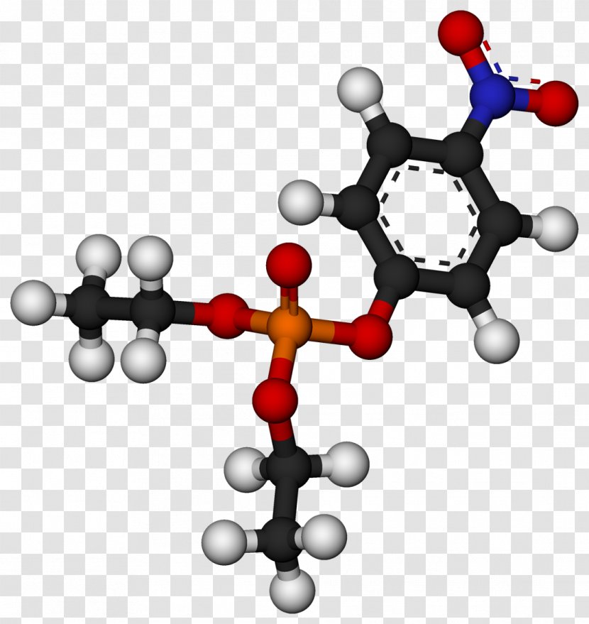 Parathion Insecticide Organophosphate Paraoxon Acetylcholinesterase - Pseudocholinesterase Deficiency - Cholinesterase Transparent PNG