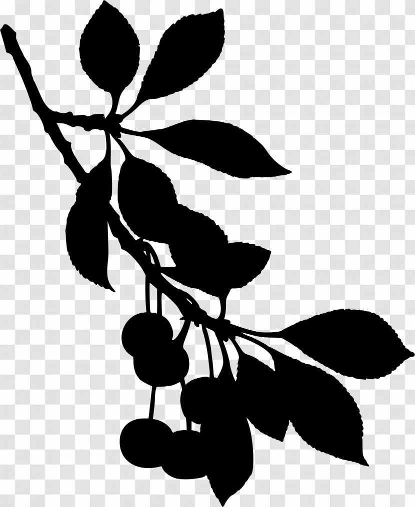 Cherry Blossom Tree Drawing - Fruit - Plant Stem Blackandwhite Transparent PNG