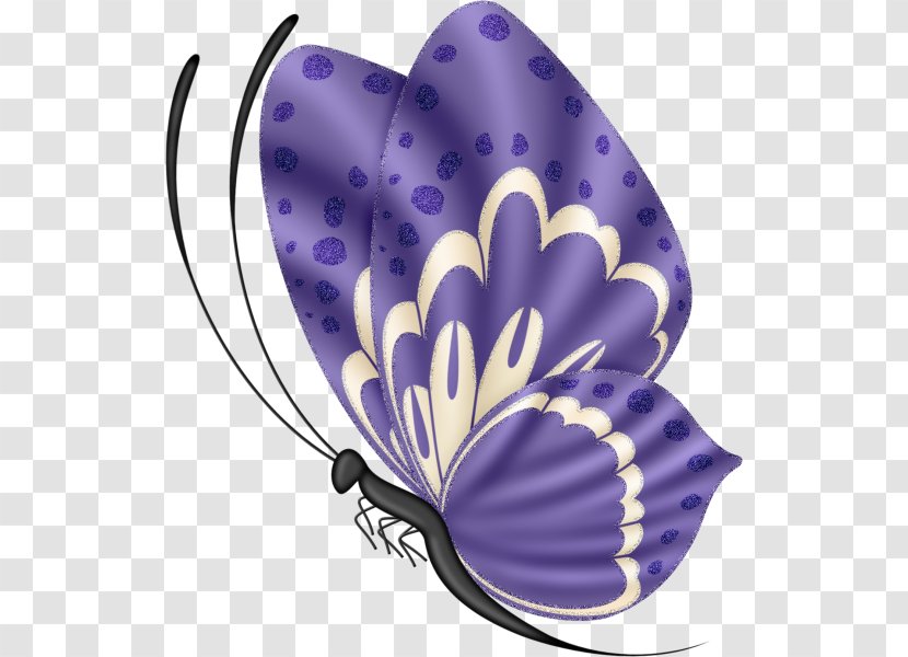 Butterfly Insect Image Drawing Illustration - Creativity Transparent PNG