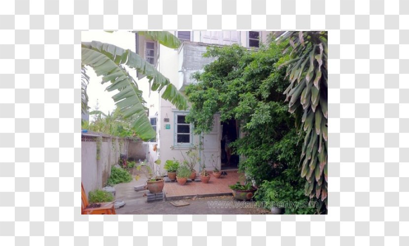 Property Backyard Courtyard By Marriott Tree - Hacienda Transparent PNG