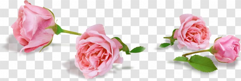 Flower Rose Clip Art - Bud - Mary Transparent PNG