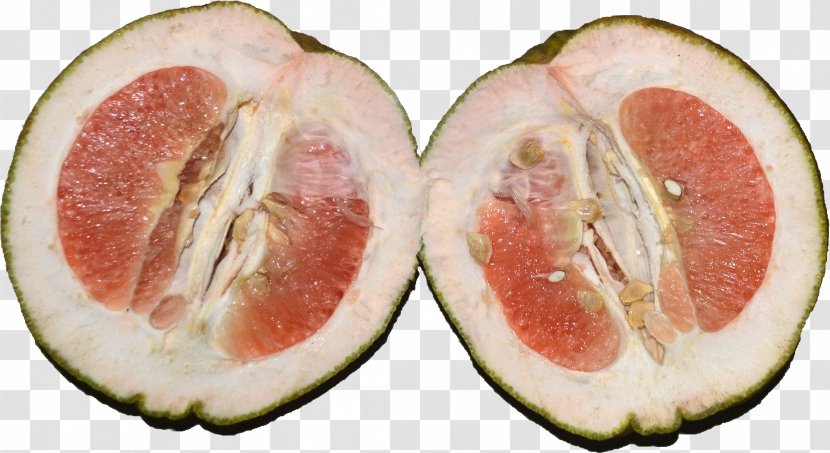 Pomelo Grapefruit Bitter Orange Lemon Citron - Superfood Transparent PNG