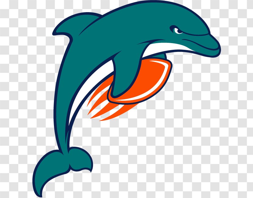 Common Bottlenose Dolphin Tucuxi Miami Dolphins NFL Clip Art - Mammal Transparent PNG