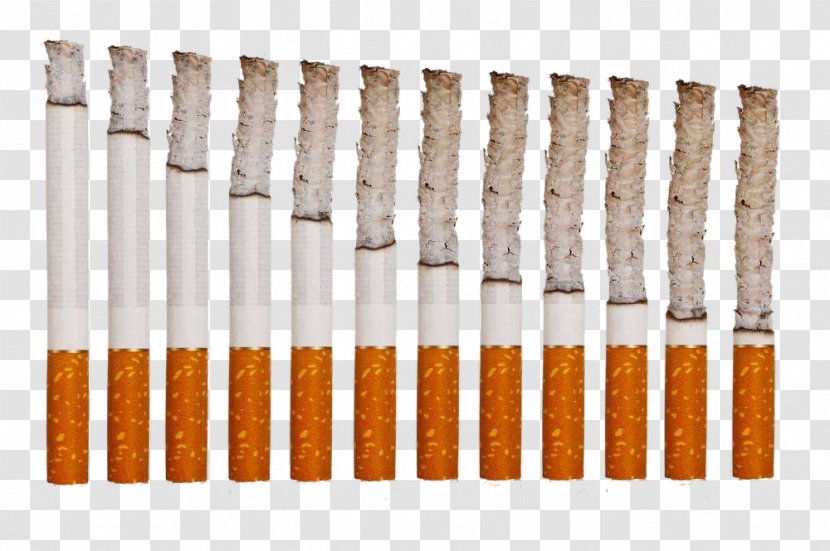 Tobacco Smoking Electronic Cigarette - Cartoon - Smoked Cigarettes Transparent PNG