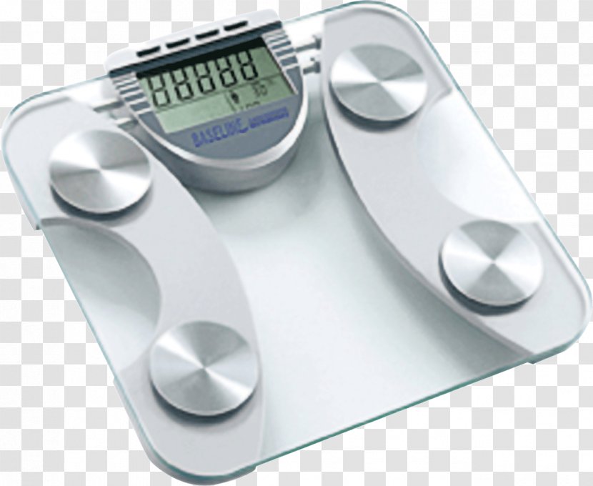 Measuring Scales Adipose Tissue Weight Международные отношения: теории, конфликты, движения, организации Body Mass Index - Fat - Thick Pens Transparent PNG