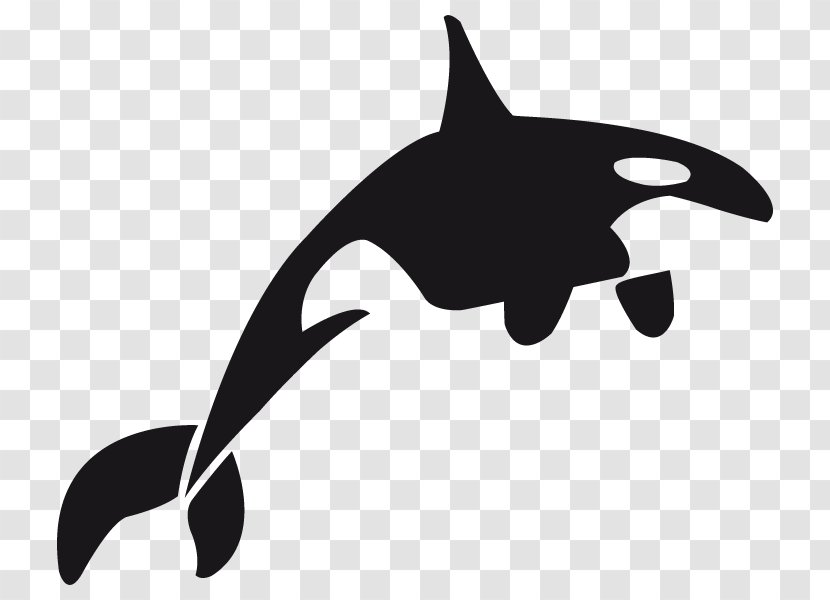 Dolphin Killer Whale Toothed Whales Clip Art - Cetaceans Transparent PNG
