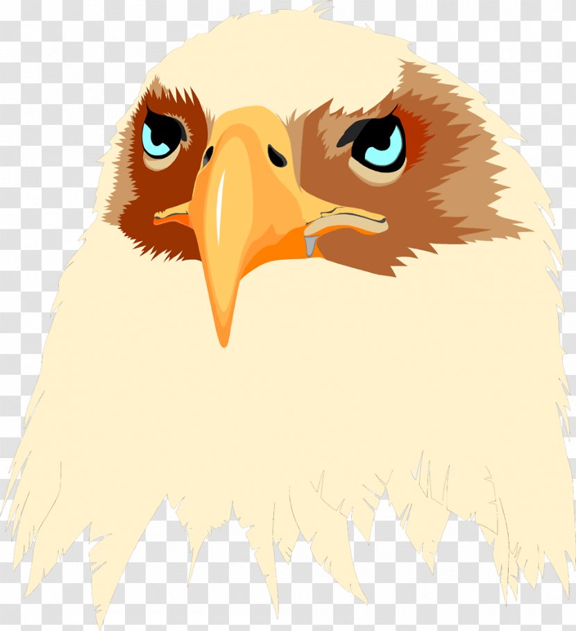 Bald Eagle T-shirt Bird Hoodie - Longsleeved Tshirt Transparent PNG