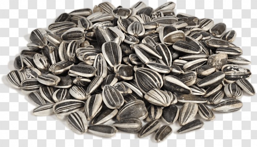 Vegetarian Cuisine Sunflower Seed Nut Fodder - Ingredient - Seeds Transparent PNG