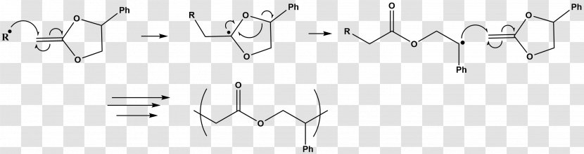 White Point Angle - Flower - Polymerization Transparent PNG