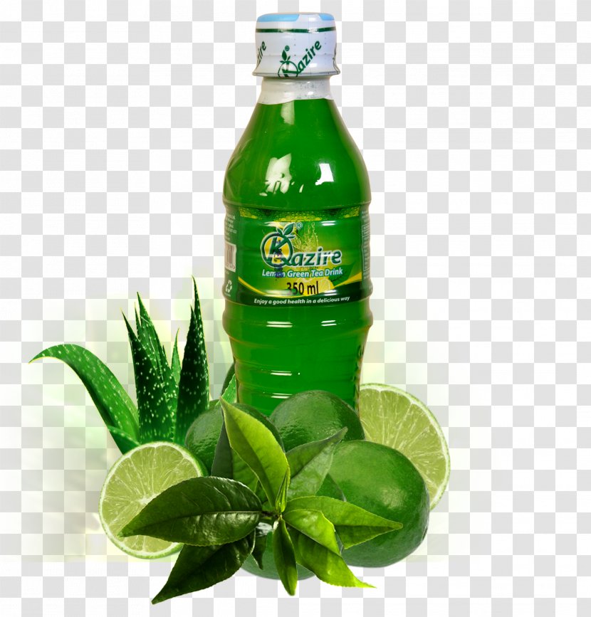 Liqueur Juice Health Drink Green Tea Transparent PNG