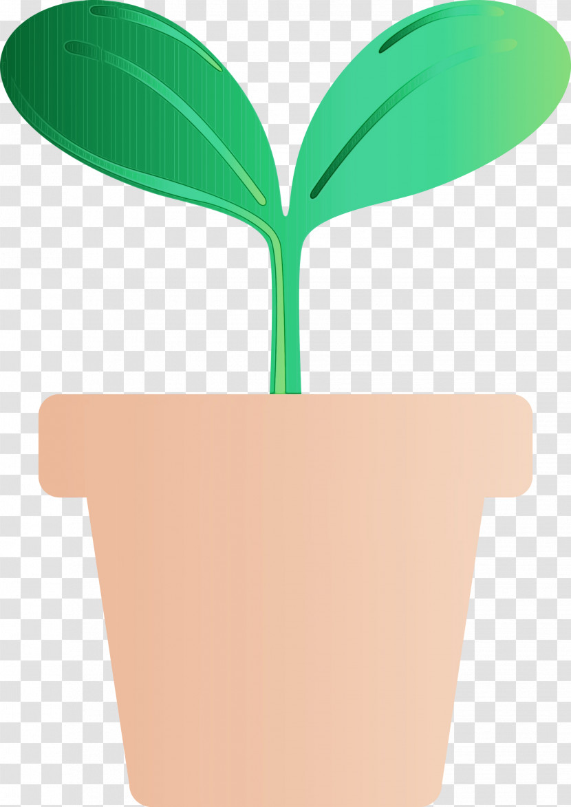 Flowerpot Green Leaf Plant Tree Transparent PNG