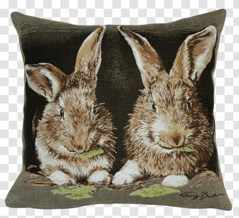 Domestic Rabbit Cushion Throw Pillows European - Hare - Pillow Transparent PNG
