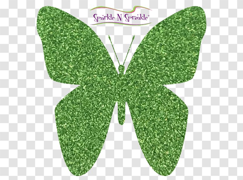 Butterfly Moth Color Green Art - Pastel Transparent PNG