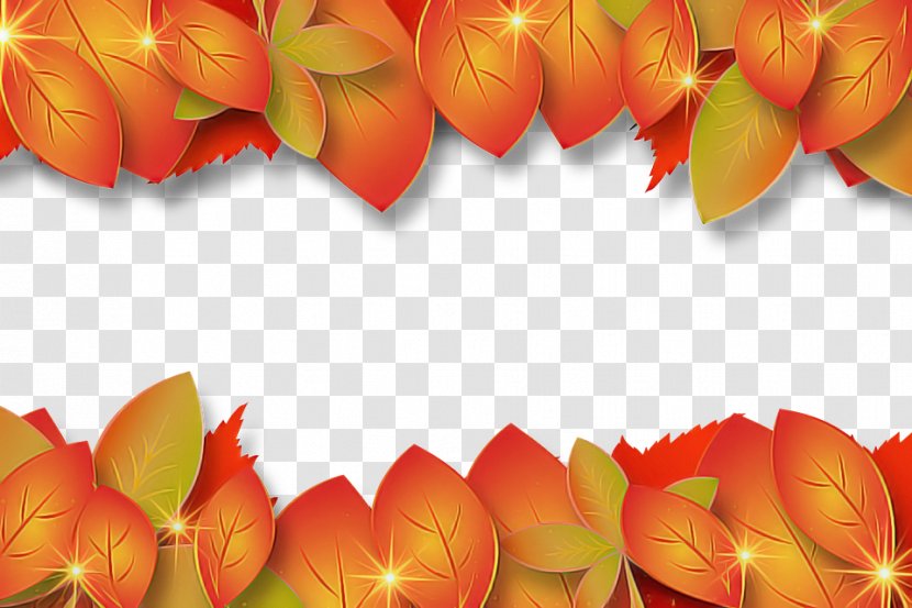 Orange - Vegetarian Food - Peach Transparent PNG