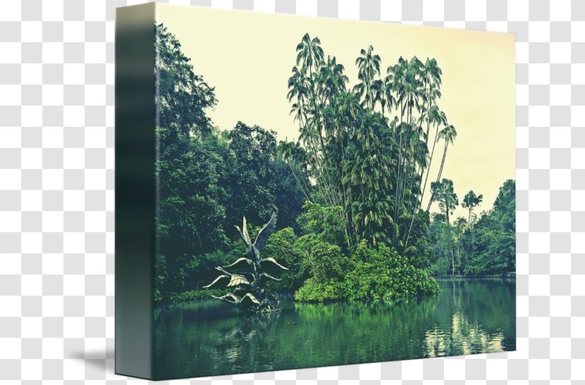 Biome Forest Vegetation Landscape Water Resources - Nature - Secret Garden Wind Transparent PNG