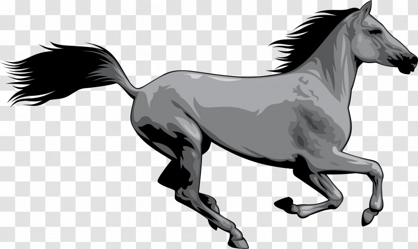Mustang American Paint Horse Wild Clip Art - Stallion Transparent PNG