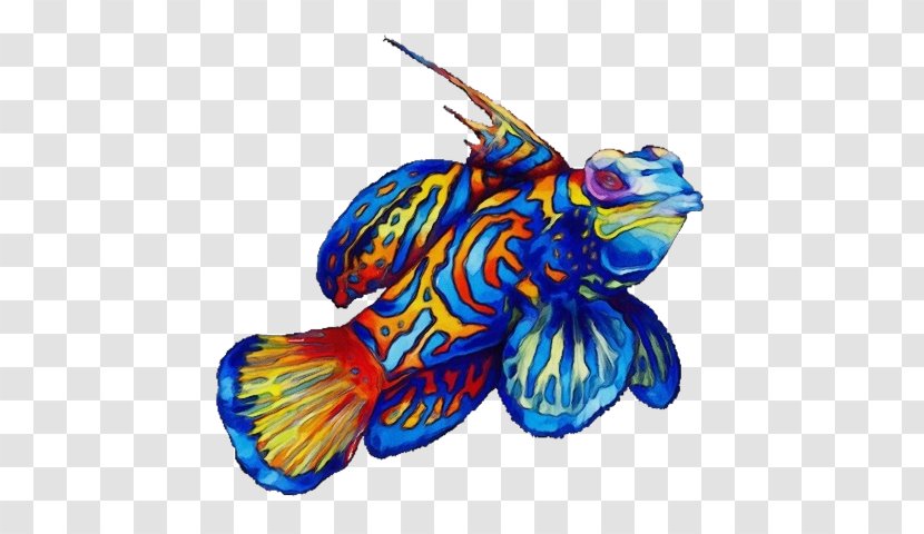 Watercolor Cartoon - Paint - Electric Blue Fish Transparent PNG