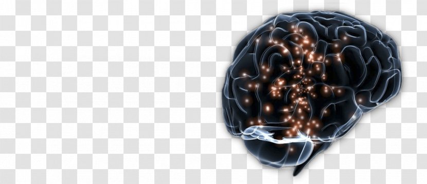 Human Brain Nervous System Function Neuron - Self Harm Transparent PNG