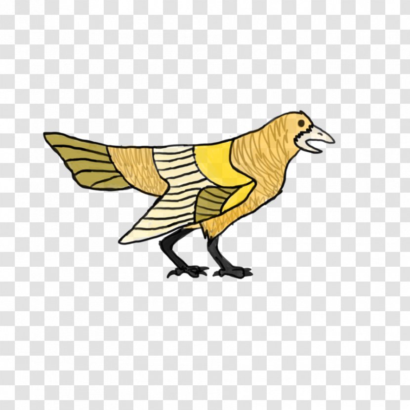 Bird Chicken Galliformes Beak - Wing - Birdie Transparent PNG