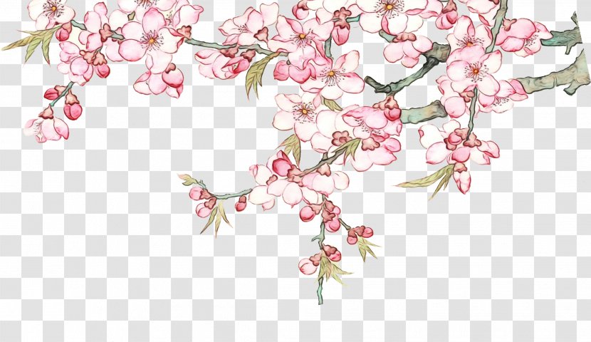 Cherry Blossom - Pink - Petal Tree Transparent PNG