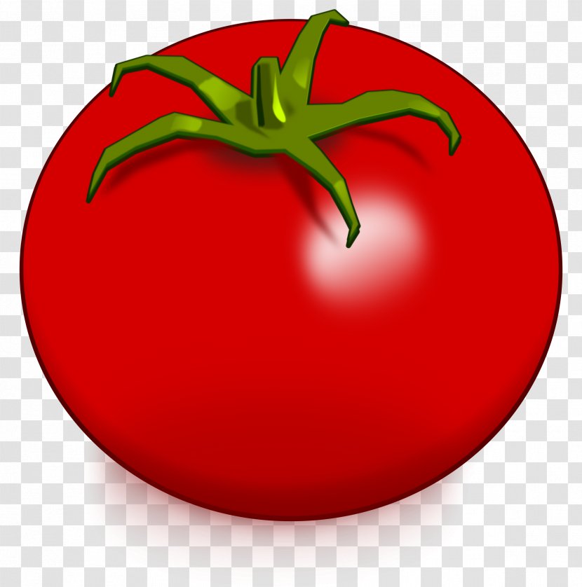 Tomato Drawing Vegetable Clip Art - Apple Transparent PNG
