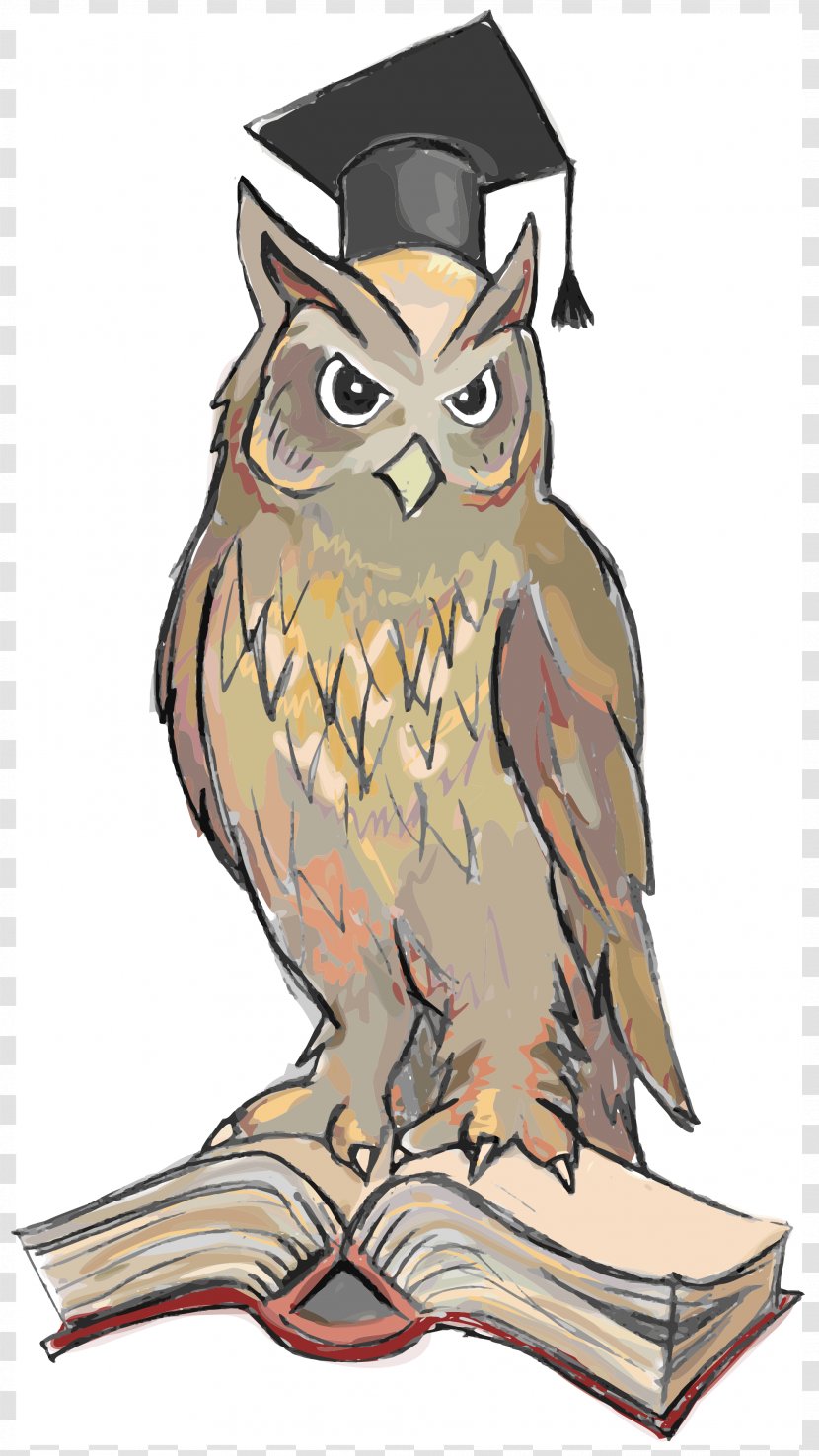 Bird Symbol Wisdom Snowy Owl True - Owls Transparent PNG