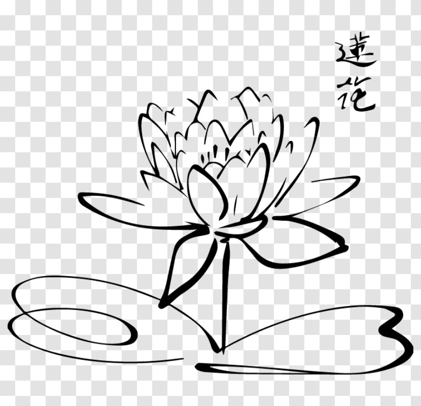 Drawing Nelumbo Nucifera Clip Art - Area - Plant Stem Transparent PNG