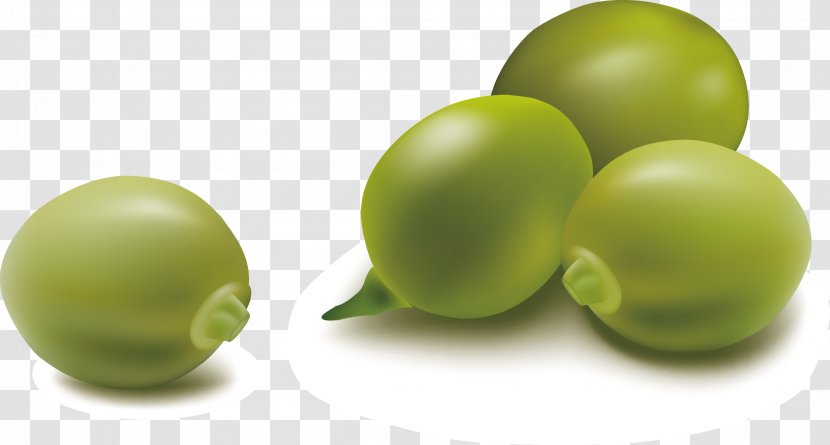 Pea Legume Vegetable - Diet Food - Peas Vector Transparent PNG