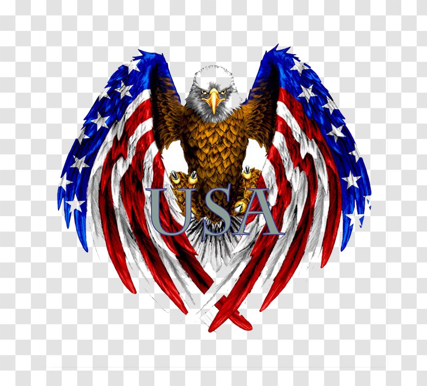 Flag Of The United States Decal Car - Bird Prey Transparent PNG