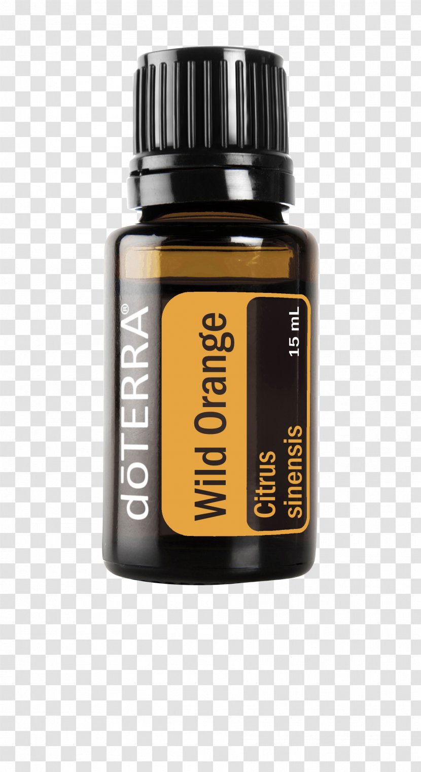 DoTerra Grapefruit Essential Oil Orange - Mandarin Transparent PNG