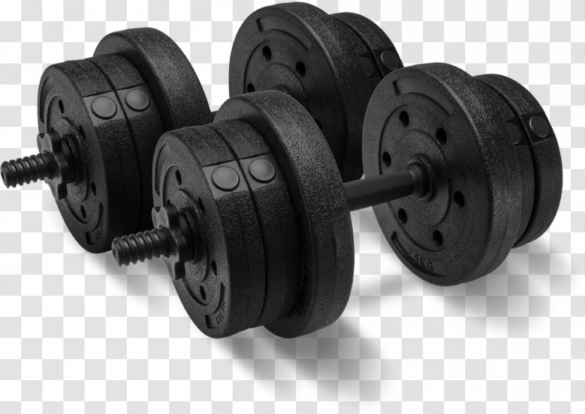 Dumbbell Physical Strength Weight Training Fitness Transparent PNG