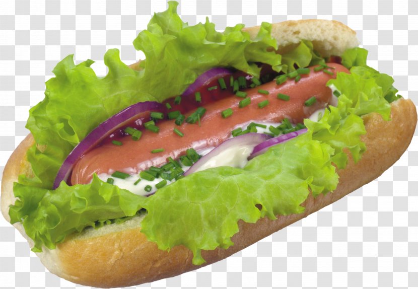 Hot Dog Fast Food Hamburger Shawarma Breakfast Sandwich - Chicagostyle - CBD Transparent PNG