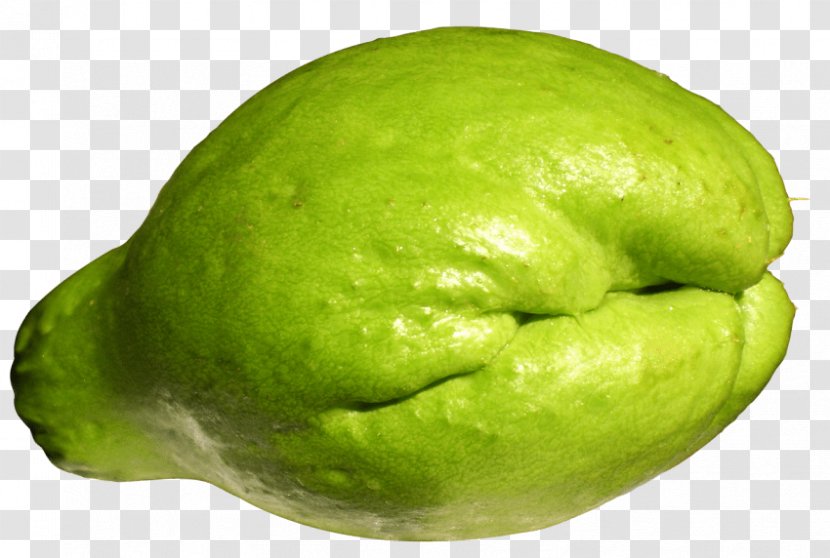 Chayote Gourd Vegetable Melon Squash - Pumpkin Transparent PNG