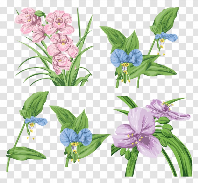 Flower Plant - Flowering - Botanical Flowers Transparent PNG