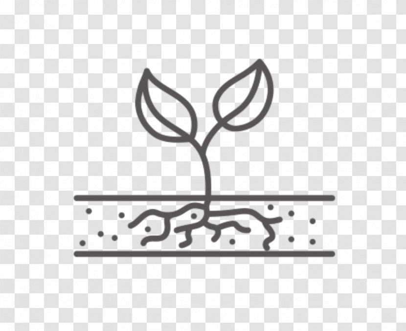 Plants Fruit Tree Seed Logo Transparent PNG