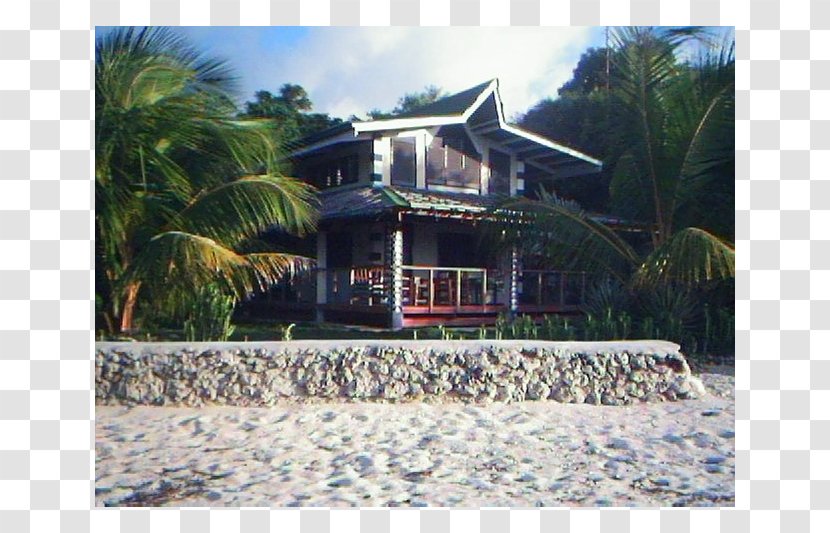 Resort Tourism Griechisches Haus - Plantation Transparent PNG
