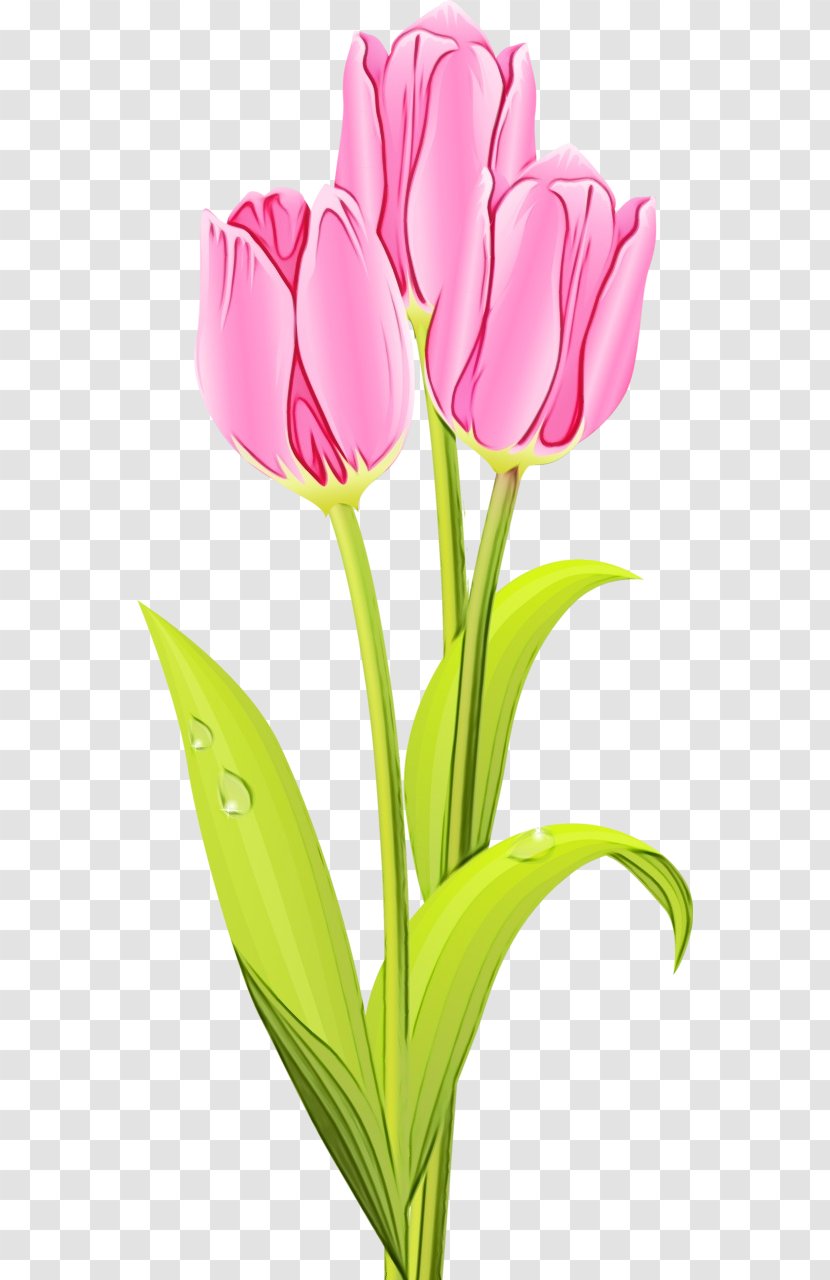 Bouquet Of Flowers Drawing - Flower - Bud Lily Family Transparent PNG