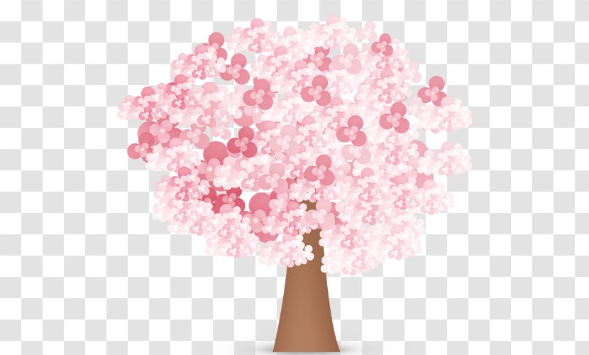 National Cherry Blossom Festival - Flower - Tree Material Transparent PNG
