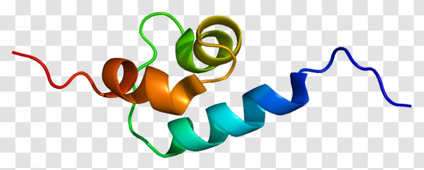 Sequestosome 1 RIPK1 Knockout Mouse Protein Gene - Cartoon - Heart Transparent PNG