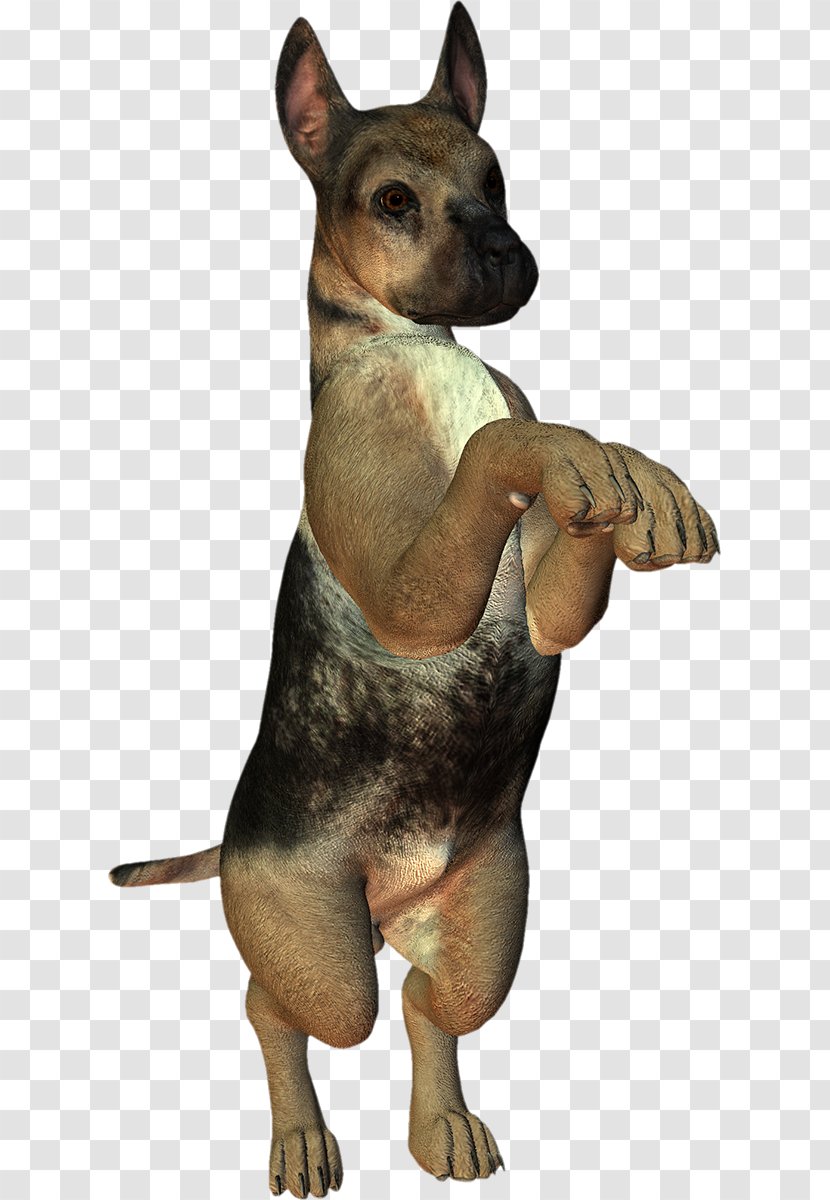 Dog Puppy 3D Computer Graphics - 3d - Handsome Meng Do Not Pull The Transparent PNG