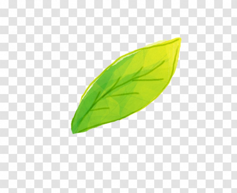 Leaf Wallpaper - Green Transparent PNG