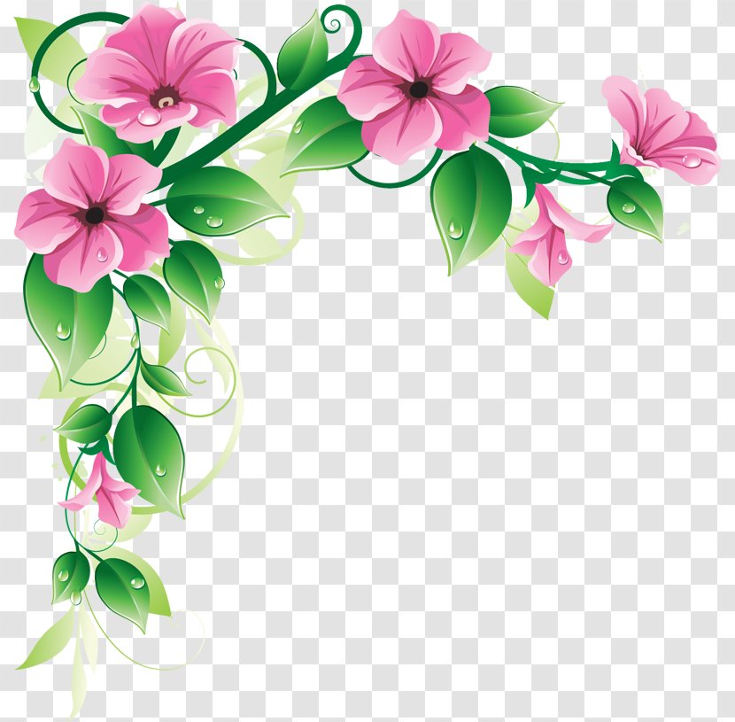 Adobe Illustrator - Floristry - Flowers Borders High-Quality Transparent PNG