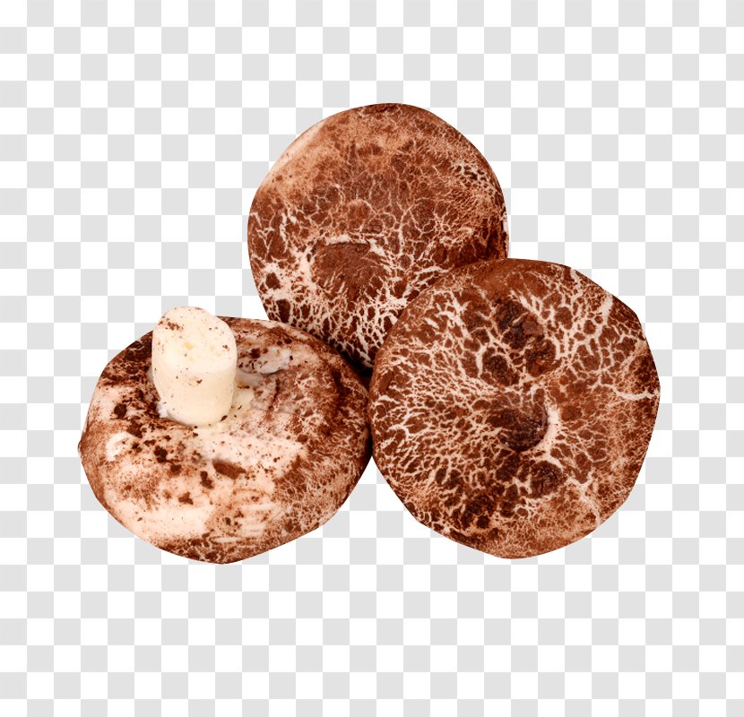 Baozi Cinnamon Roll Cha Siu Bao Shiitake Bun - Mushroom Buns With Transparent PNG